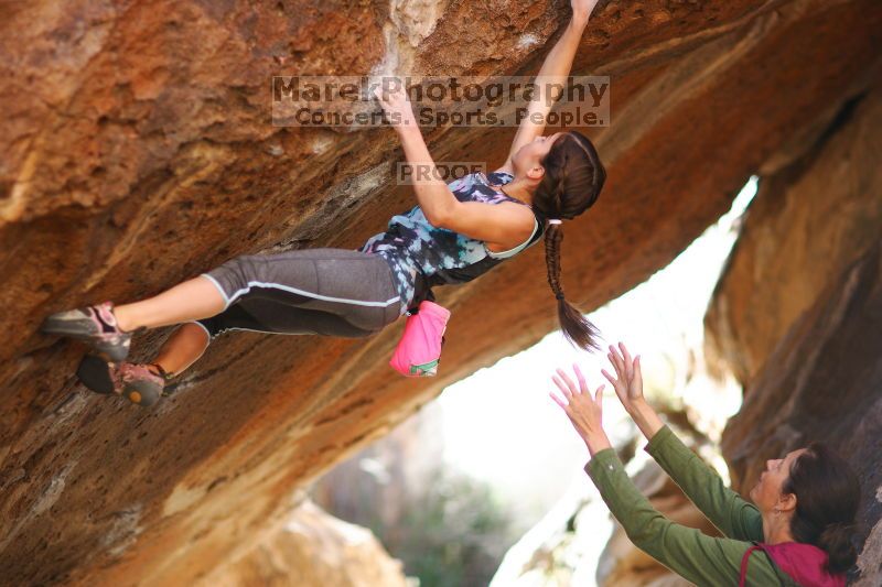 

Filename: SRM_20161120_1324520.jpg
Aperture: f/1.6
Shutter Speed: 1/640
Body: Canon EOS-1D Mark II
Lens: Canon EF 85mm f/1.2 L II