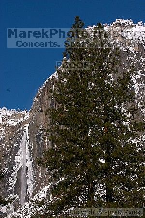 

Filename: crw_6322_std.jpg
Aperture: f/22.0
Shutter Speed: 1/80
Body: Canon EOS DIGITAL REBEL
Lens: Canon EF 80-200mm f/2.8 L