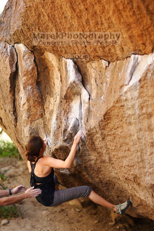 

Filename: SRM_20161120_1352521.jpg
Aperture: f/1.6
Shutter Speed: 1/800
Body: Canon EOS-1D Mark II
Lens: Canon EF 85mm f/1.2 L II