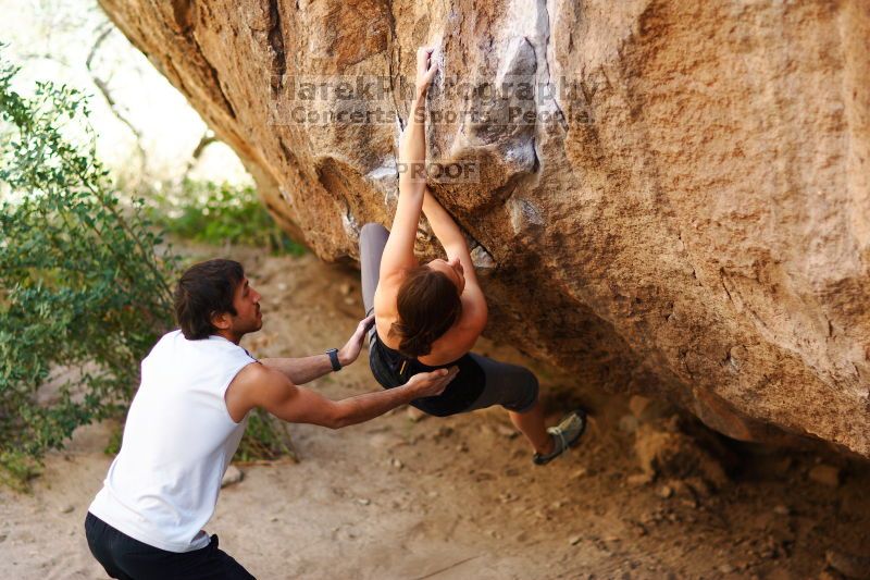 

Filename: SRM_20161120_1353511.jpg
Aperture: f/1.6
Shutter Speed: 1/800
Body: Canon EOS-1D Mark II
Lens: Canon EF 85mm f/1.2 L II