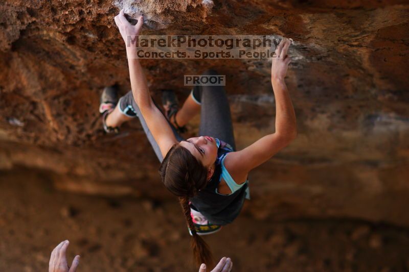 

Filename: SRM_20161120_1356002.jpg
Aperture: f/1.6
Shutter Speed: 1/800
Body: Canon EOS-1D Mark II
Lens: Canon EF 85mm f/1.2 L II