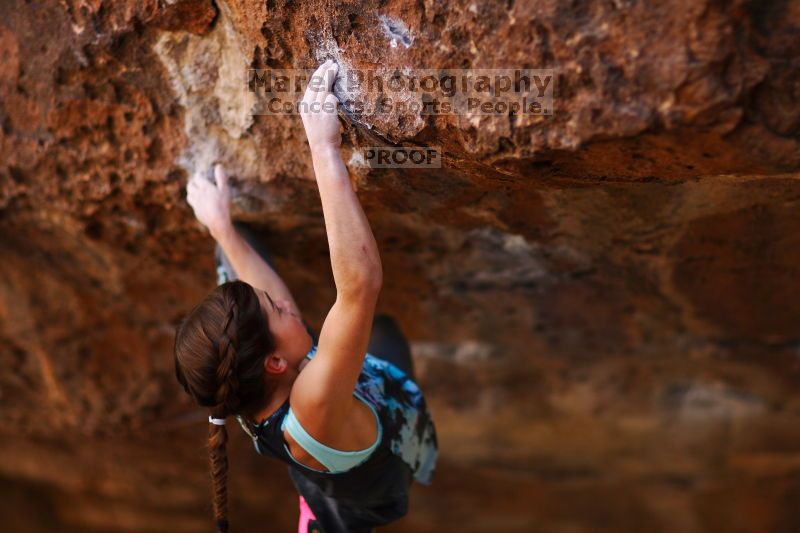 

Filename: SRM_20161120_1356050.jpg
Aperture: f/1.6
Shutter Speed: 1/800
Body: Canon EOS-1D Mark II
Lens: Canon EF 85mm f/1.2 L II