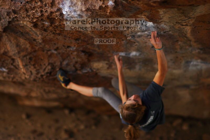 

Filename: SRM_20161120_1400523.jpg
Aperture: f/1.6
Shutter Speed: 1/800
Body: Canon EOS-1D Mark II
Lens: Canon EF 85mm f/1.2 L II