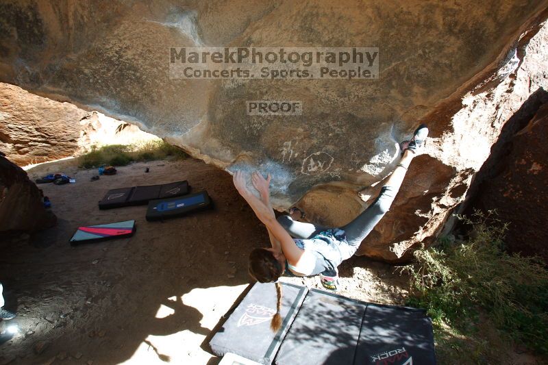 

Filename: SRM_20161120_1432430.jpg
Aperture: f/5.0
Shutter Speed: 1/60
Body: Canon EOS-1D Mark II
Lens: Canon EF 16-35mm f/2.8 L