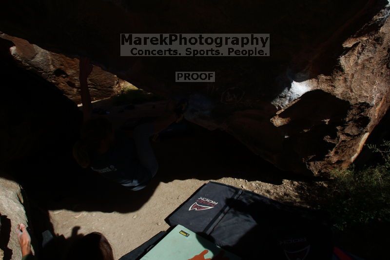 

Filename: SRM_20161120_1448511.jpg
Aperture: f/8.0
Shutter Speed: 1/250
Body: Canon EOS-1D Mark II
Lens: Canon EF 16-35mm f/2.8 L