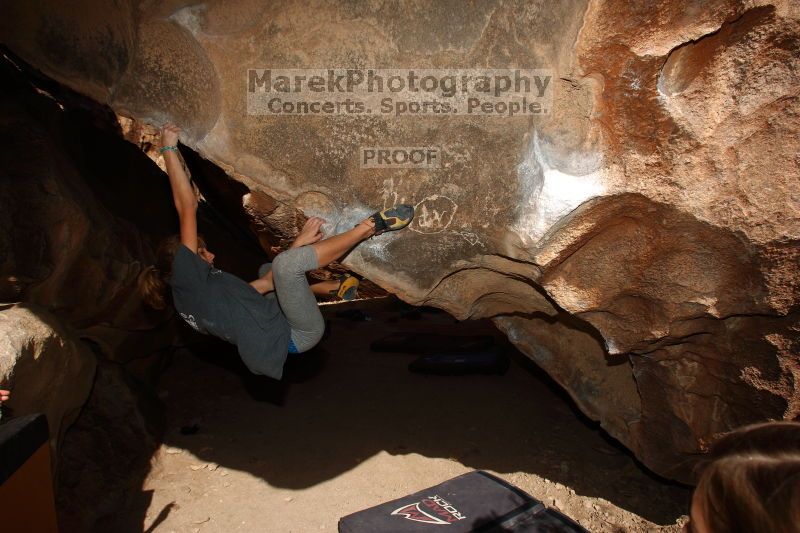 

Filename: SRM_20161120_1448560.jpg
Aperture: f/8.0
Shutter Speed: 1/250
Body: Canon EOS-1D Mark II
Lens: Canon EF 16-35mm f/2.8 L