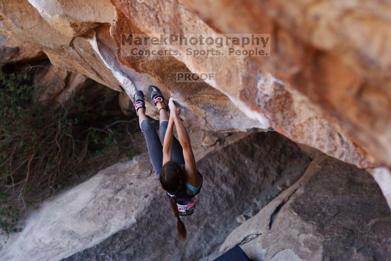 

Filename: SRM_20161120_1652310.jpg
Aperture: f/2.0
Shutter Speed: 1/500
Body: Canon EOS-1D Mark II
Lens: Canon EF 85mm f/1.2 L II