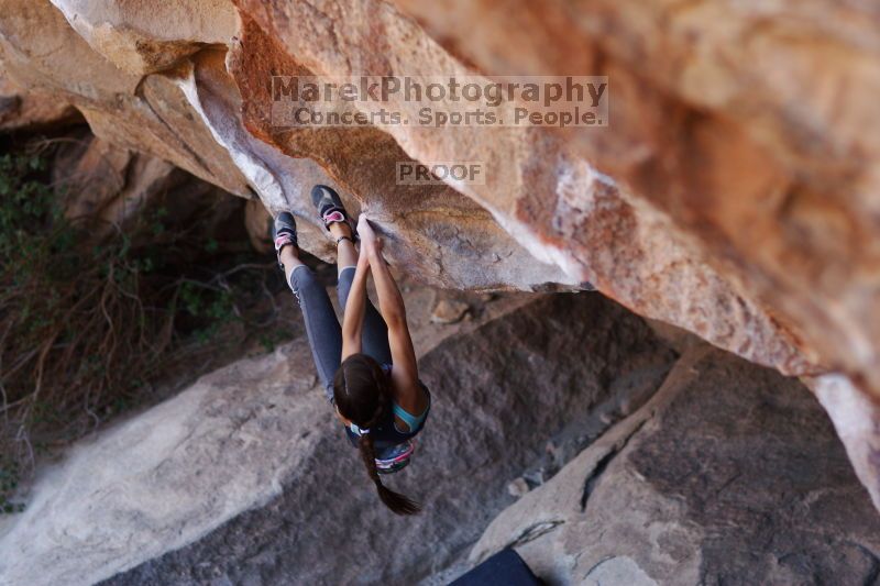

Filename: SRM_20161120_1652311.jpg
Aperture: f/2.0
Shutter Speed: 1/500
Body: Canon EOS-1D Mark II
Lens: Canon EF 85mm f/1.2 L II