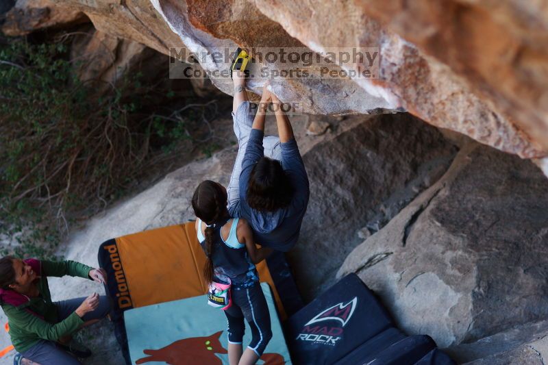 

Filename: SRM_20161120_1655560.jpg
Aperture: f/2.0
Shutter Speed: 1/500
Body: Canon EOS-1D Mark II
Lens: Canon EF 85mm f/1.2 L II