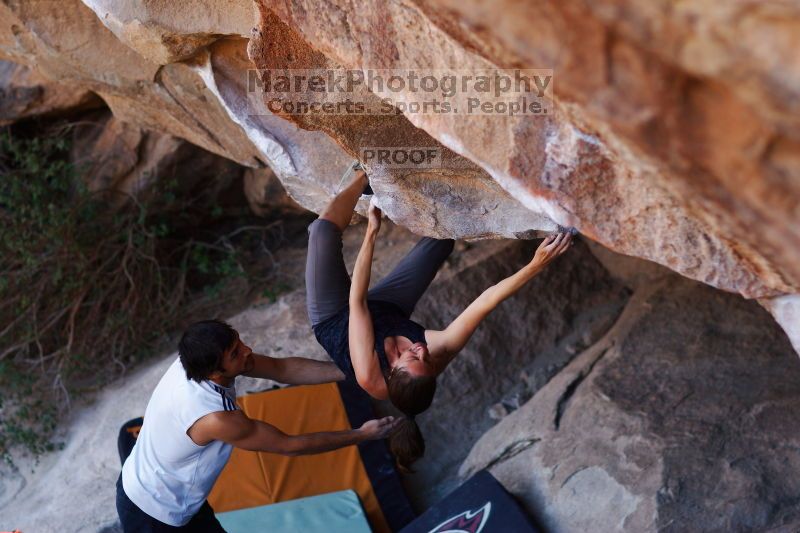 

Filename: SRM_20161120_1658113.jpg
Aperture: f/2.0
Shutter Speed: 1/500
Body: Canon EOS-1D Mark II
Lens: Canon EF 85mm f/1.2 L II