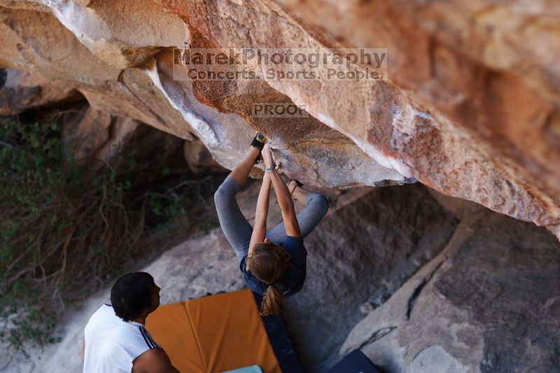 

Filename: SRM_20161120_1658582.jpg
Aperture: f/2.0
Shutter Speed: 1/500
Body: Canon EOS-1D Mark II
Lens: Canon EF 85mm f/1.2 L II