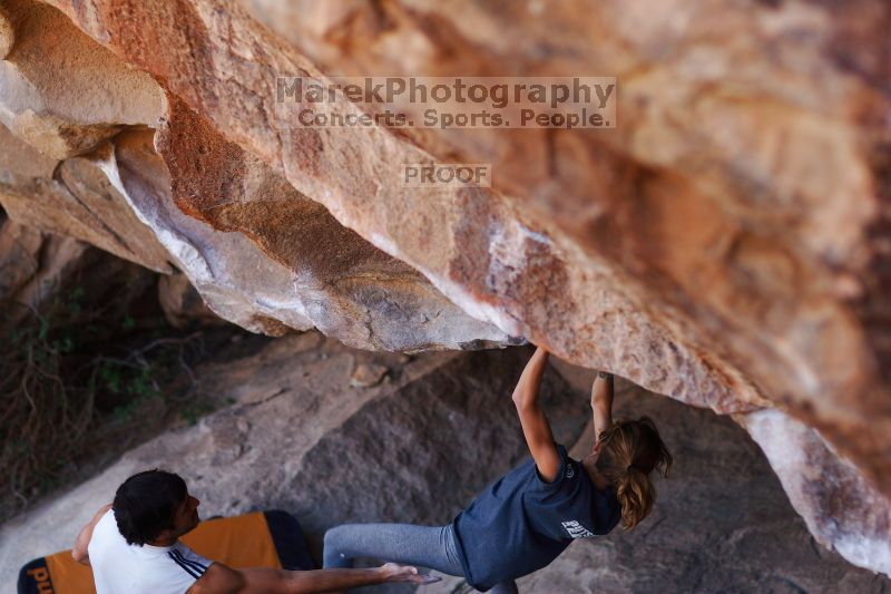 

Filename: SRM_20161120_1659150.jpg
Aperture: f/2.0
Shutter Speed: 1/500
Body: Canon EOS-1D Mark II
Lens: Canon EF 85mm f/1.2 L II