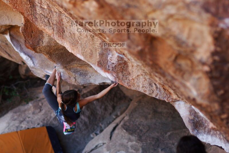 

Filename: SRM_20161120_1701041.jpg
Aperture: f/2.0
Shutter Speed: 1/500
Body: Canon EOS-1D Mark II
Lens: Canon EF 85mm f/1.2 L II