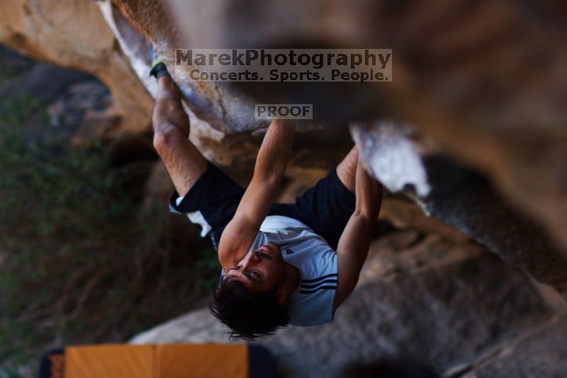 

Filename: SRM_20161120_1703232.jpg
Aperture: f/2.0
Shutter Speed: 1/500
Body: Canon EOS-1D Mark II
Lens: Canon EF 85mm f/1.2 L II