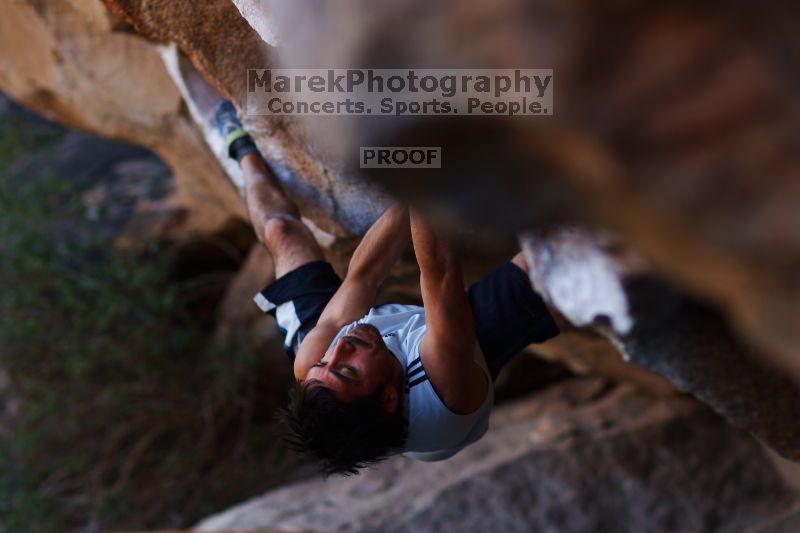 

Filename: SRM_20161120_1703241.jpg
Aperture: f/2.0
Shutter Speed: 1/500
Body: Canon EOS-1D Mark II
Lens: Canon EF 85mm f/1.2 L II