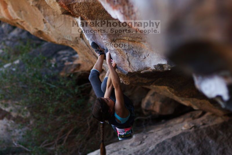 

Filename: SRM_20161120_1703422.jpg
Aperture: f/2.0
Shutter Speed: 1/500
Body: Canon EOS-1D Mark II
Lens: Canon EF 85mm f/1.2 L II