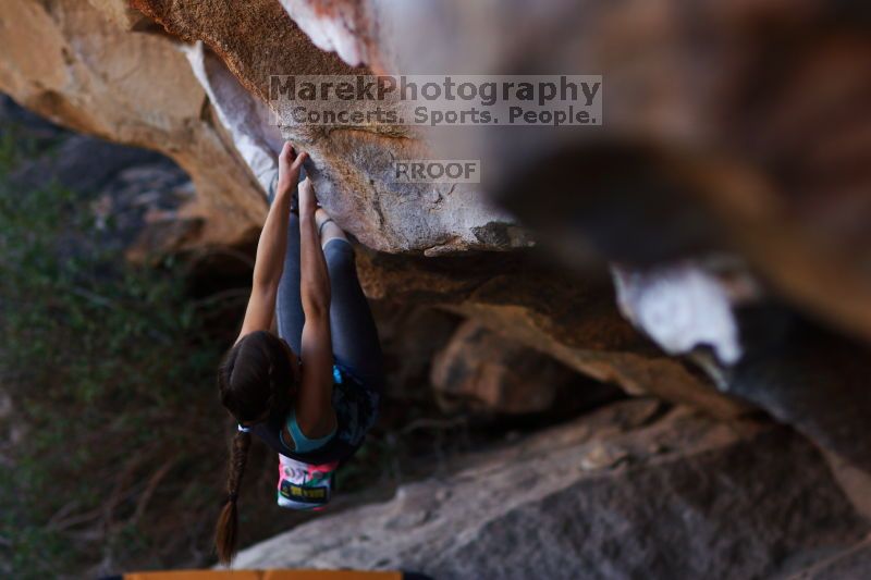 

Filename: SRM_20161120_1703450.jpg
Aperture: f/2.0
Shutter Speed: 1/500
Body: Canon EOS-1D Mark II
Lens: Canon EF 85mm f/1.2 L II