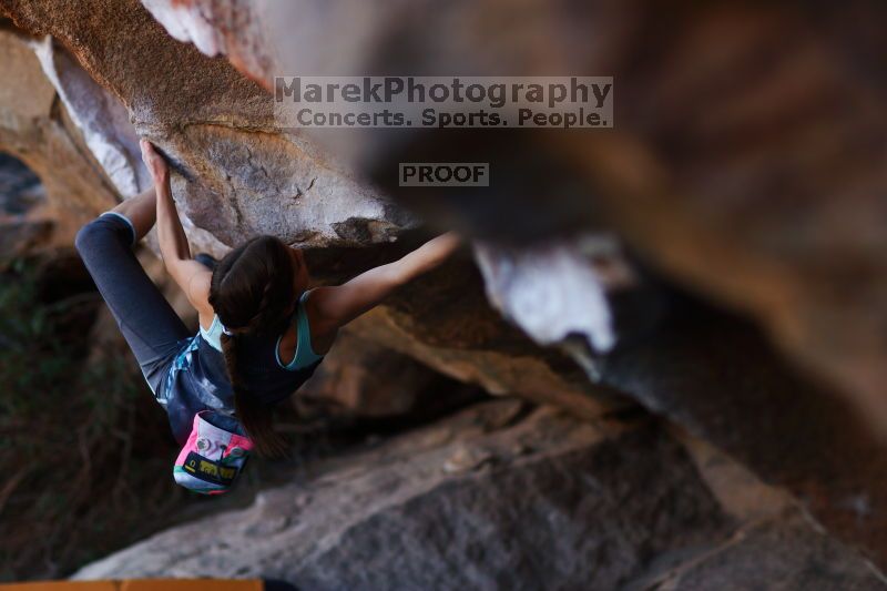

Filename: SRM_20161120_1703502.jpg
Aperture: f/2.0
Shutter Speed: 1/500
Body: Canon EOS-1D Mark II
Lens: Canon EF 85mm f/1.2 L II