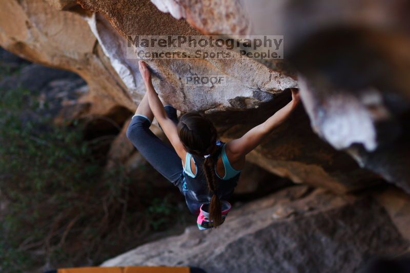 

Filename: SRM_20161120_1703530.jpg
Aperture: f/2.0
Shutter Speed: 1/500
Body: Canon EOS-1D Mark II
Lens: Canon EF 85mm f/1.2 L II