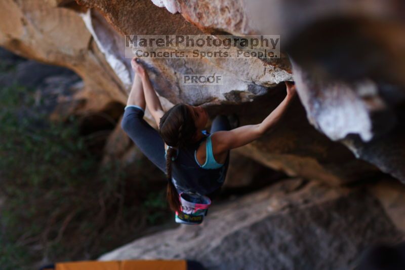 

Filename: SRM_20161120_1703541.jpg
Aperture: f/2.0
Shutter Speed: 1/500
Body: Canon EOS-1D Mark II
Lens: Canon EF 85mm f/1.2 L II