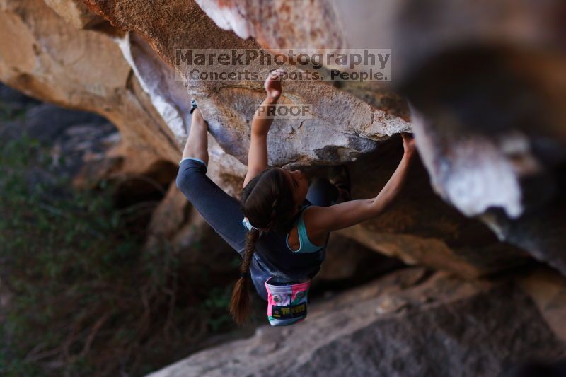 

Filename: SRM_20161120_1703542.jpg
Aperture: f/2.0
Shutter Speed: 1/500
Body: Canon EOS-1D Mark II
Lens: Canon EF 85mm f/1.2 L II
