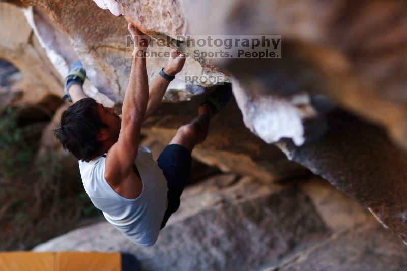 

Filename: SRM_20161120_1704341.jpg
Aperture: f/2.0
Shutter Speed: 1/320
Body: Canon EOS-1D Mark II
Lens: Canon EF 85mm f/1.2 L II