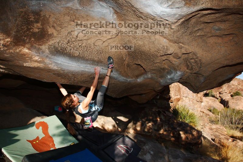 

Filename: SRM_20161120_1748331.jpg
Aperture: f/8.0
Shutter Speed: 1/250
Body: Canon EOS-1D Mark II
Lens: Canon EF 16-35mm f/2.8 L