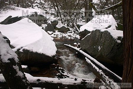 

Filename: crw_6242_std.jpg
Aperture: f/9.0
Shutter Speed: 1/30
Body: Canon EOS DIGITAL REBEL
Lens: Canon EF-S 18-55mm f/3.5-5.6