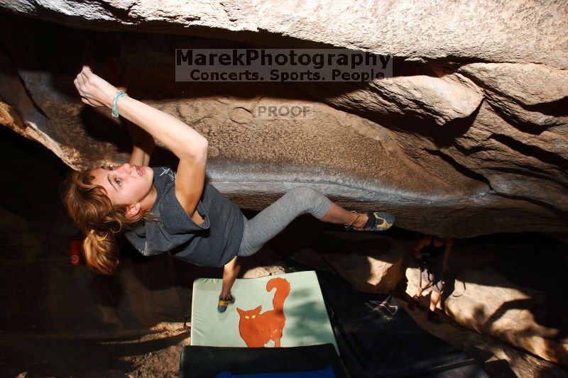 

Filename: SRM_20161120_1750160.jpg
Aperture: f/8.0
Shutter Speed: 1/250
Body: Canon EOS-1D Mark II
Lens: Canon EF 16-35mm f/2.8 L