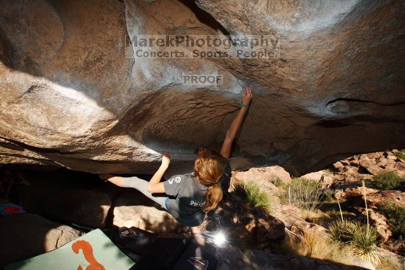 

Filename: SRM_20161120_1753590.jpg
Aperture: f/8.0
Shutter Speed: 1/250
Body: Canon EOS-1D Mark II
Lens: Canon EF 16-35mm f/2.8 L