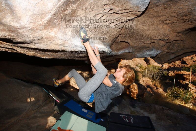 

Filename: SRM_20161120_1814160.jpg
Aperture: f/8.0
Shutter Speed: 1/250
Body: Canon EOS-1D Mark II
Lens: Canon EF 16-35mm f/2.8 L