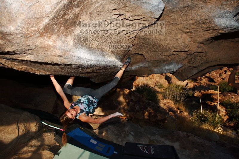 

Filename: SRM_20161120_1816471.jpg
Aperture: f/8.0
Shutter Speed: 1/250
Body: Canon EOS-1D Mark II
Lens: Canon EF 16-35mm f/2.8 L