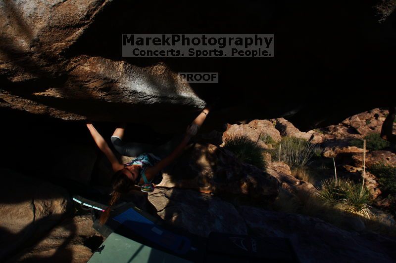 

Filename: SRM_20161120_1816472.jpg
Aperture: f/8.0
Shutter Speed: 1/250
Body: Canon EOS-1D Mark II
Lens: Canon EF 16-35mm f/2.8 L