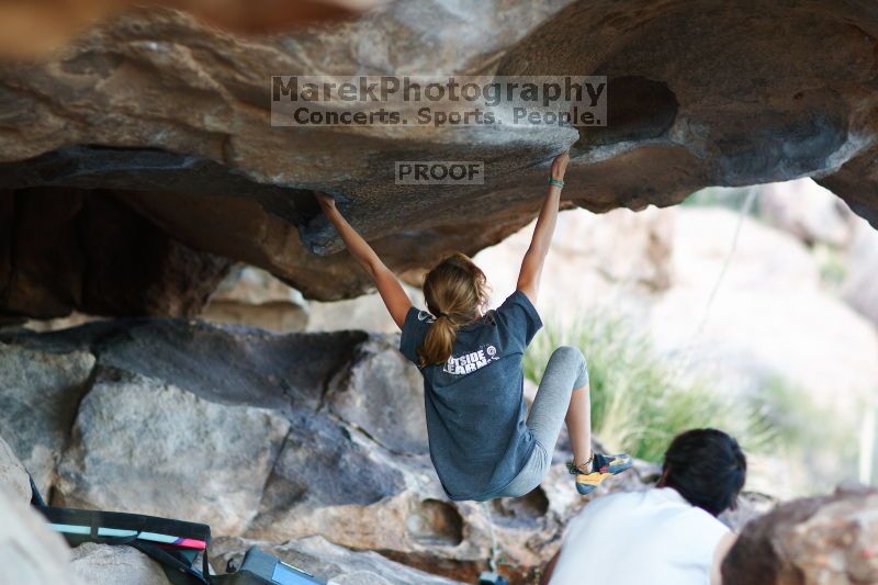 

Filename: SRM_20161120_1839460.jpg
Aperture: f/1.8
Shutter Speed: 1/320
Body: Canon EOS-1D Mark II
Lens: Canon EF 85mm f/1.2 L II