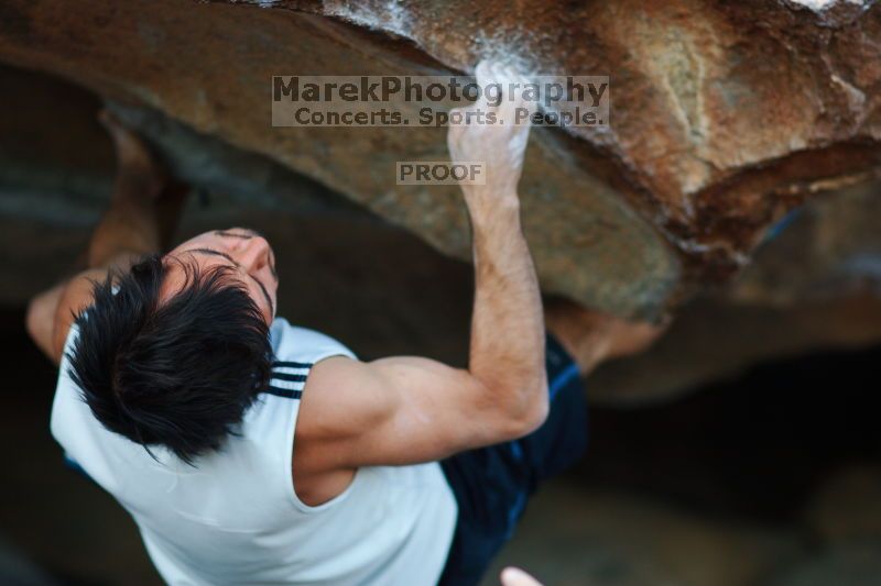 

Filename: SRM_20161120_1846370.jpg
Aperture: f/2.0
Shutter Speed: 1/800
Body: Canon EOS-1D Mark II
Lens: Canon EF 85mm f/1.2 L II