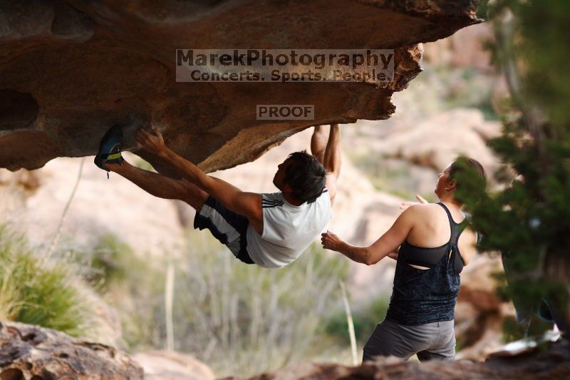 

Filename: SRM_20161120_1852360.jpg
Aperture: f/2.0
Shutter Speed: 1/800
Body: Canon EOS-1D Mark II
Lens: Canon EF 85mm f/1.2 L II