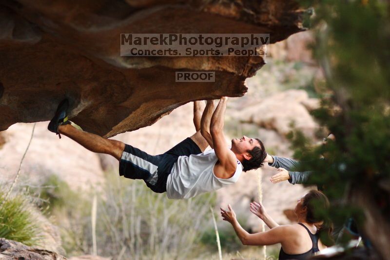 

Filename: SRM_20161120_1852400.jpg
Aperture: f/2.0
Shutter Speed: 1/800
Body: Canon EOS-1D Mark II
Lens: Canon EF 85mm f/1.2 L II