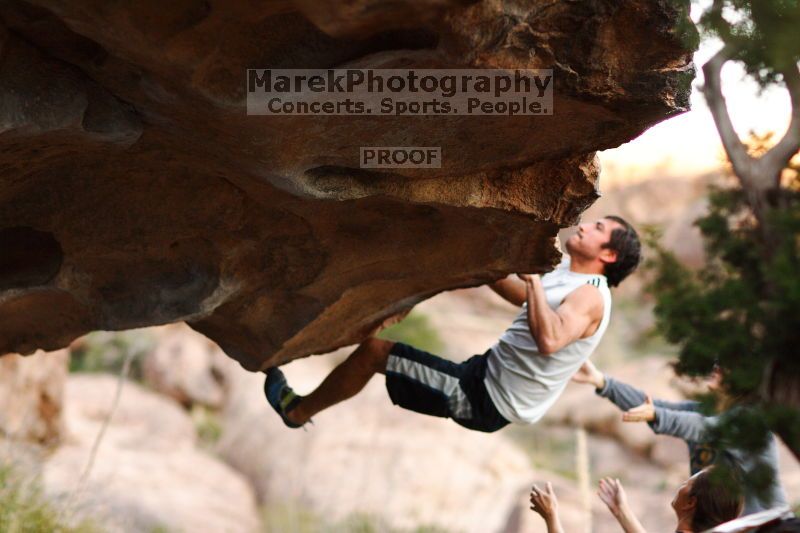 

Filename: SRM_20161120_1852472.jpg
Aperture: f/2.0
Shutter Speed: 1/800
Body: Canon EOS-1D Mark II
Lens: Canon EF 85mm f/1.2 L II