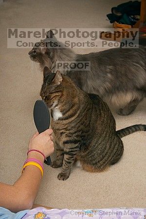 

Filename: crw_6095_std.jpg
Aperture: f/7.1
Shutter Speed: 1/200
Body: Canon EOS DIGITAL REBEL
Lens: Canon EF-S 18-55mm f/3.5-5.6