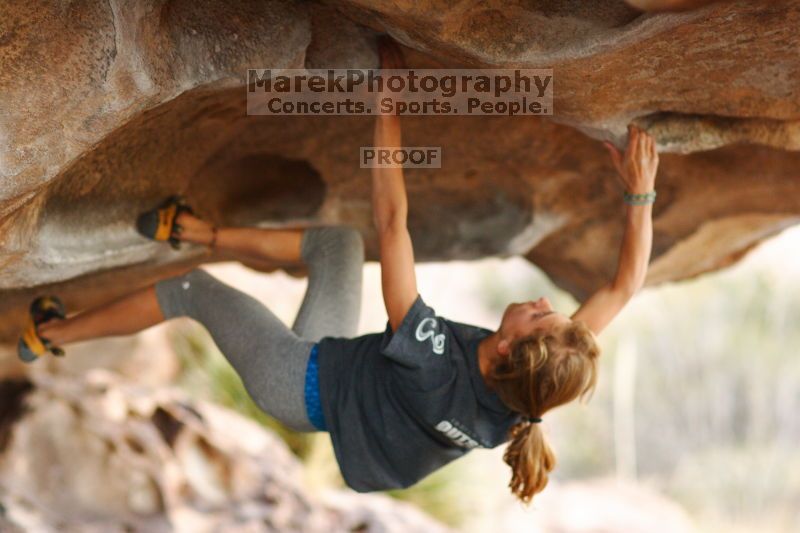 

Filename: SRM_20161120_1855150.jpg
Aperture: f/2.0
Shutter Speed: 1/320
Body: Canon EOS-1D Mark II
Lens: Canon EF 85mm f/1.2 L II