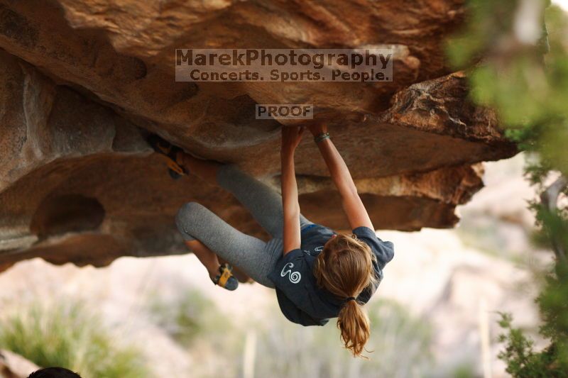 

Filename: SRM_20161120_1855223.jpg
Aperture: f/2.0
Shutter Speed: 1/500
Body: Canon EOS-1D Mark II
Lens: Canon EF 85mm f/1.2 L II