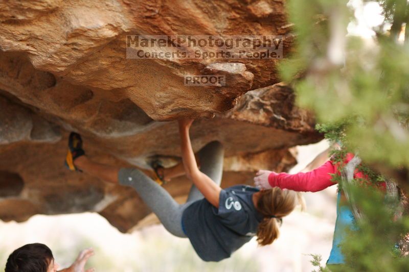 

Filename: SRM_20161120_1855271.jpg
Aperture: f/2.0
Shutter Speed: 1/320
Body: Canon EOS-1D Mark II
Lens: Canon EF 85mm f/1.2 L II