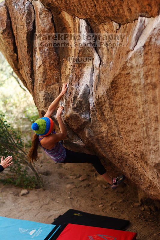 

Filename: SRM_20161124_1222300.jpg
Aperture: f/2.0
Shutter Speed: 1/1600
Body: Canon EOS-1D Mark II
Lens: Canon EF 85mm f/1.2 L II