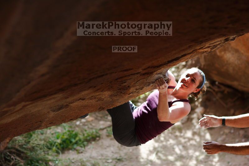 

Filename: SRM_20161124_1224120.jpg
Aperture: f/2.0
Shutter Speed: 1/2000
Body: Canon EOS-1D Mark II
Lens: Canon EF 85mm f/1.2 L II