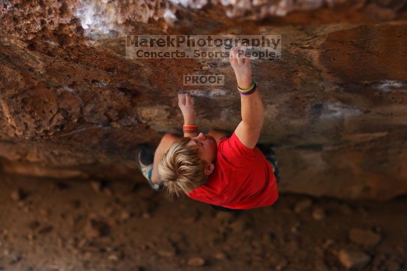 

Filename: SRM_20161124_1243241.jpg
Aperture: f/1.8
Shutter Speed: 1/400
Body: Canon EOS-1D Mark II
Lens: Canon EF 85mm f/1.2 L II