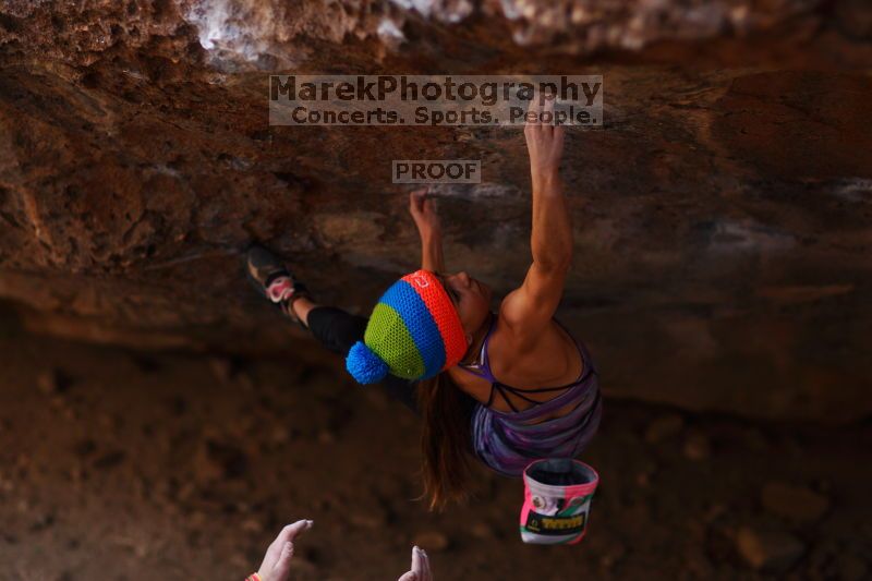 

Filename: SRM_20161124_1246141.jpg
Aperture: f/1.8
Shutter Speed: 1/500
Body: Canon EOS-1D Mark II
Lens: Canon EF 85mm f/1.2 L II