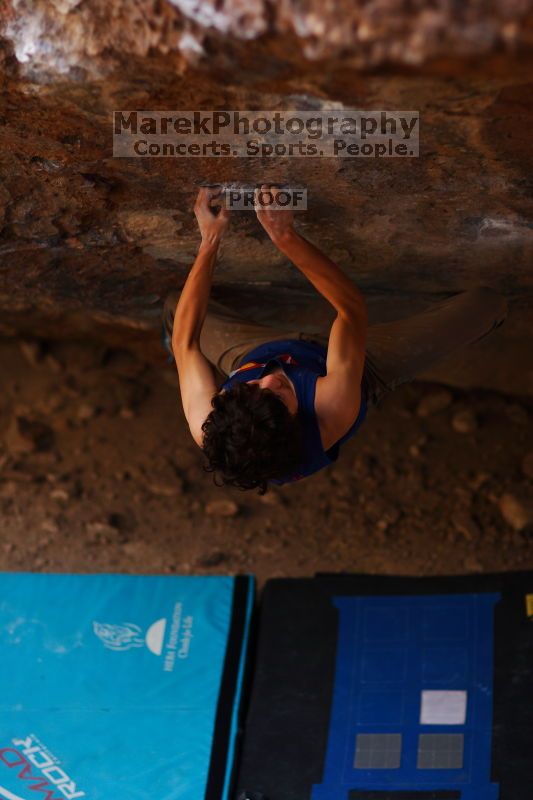 

Filename: SRM_20161124_1246560.jpg
Aperture: f/1.8
Shutter Speed: 1/500
Body: Canon EOS-1D Mark II
Lens: Canon EF 85mm f/1.2 L II