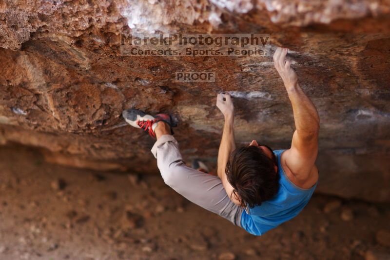 

Filename: SRM_20161124_1254330.jpg
Aperture: f/1.8
Shutter Speed: 1/400
Body: Canon EOS-1D Mark II
Lens: Canon EF 85mm f/1.2 L II