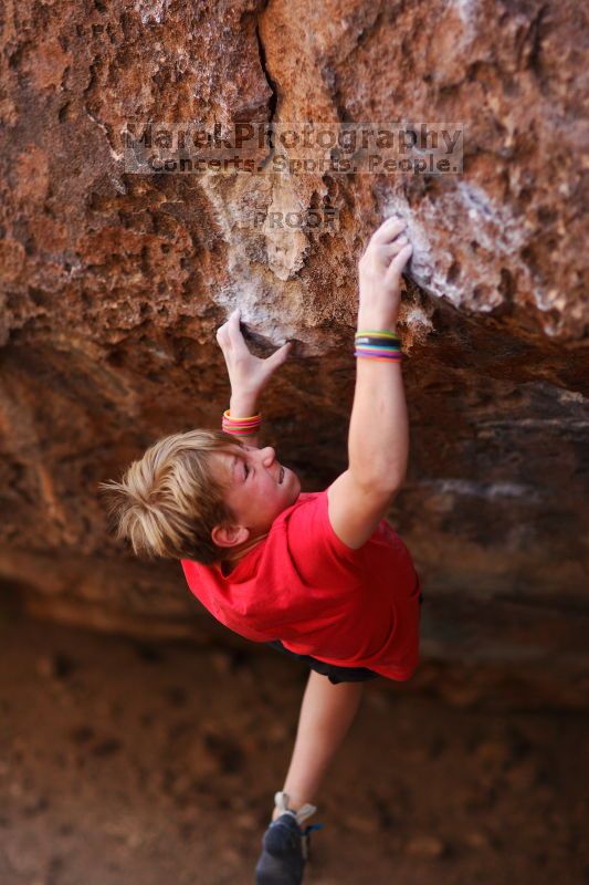 

Filename: SRM_20161124_1256022.jpg
Aperture: f/1.8
Shutter Speed: 1/800
Body: Canon EOS-1D Mark II
Lens: Canon EF 85mm f/1.2 L II