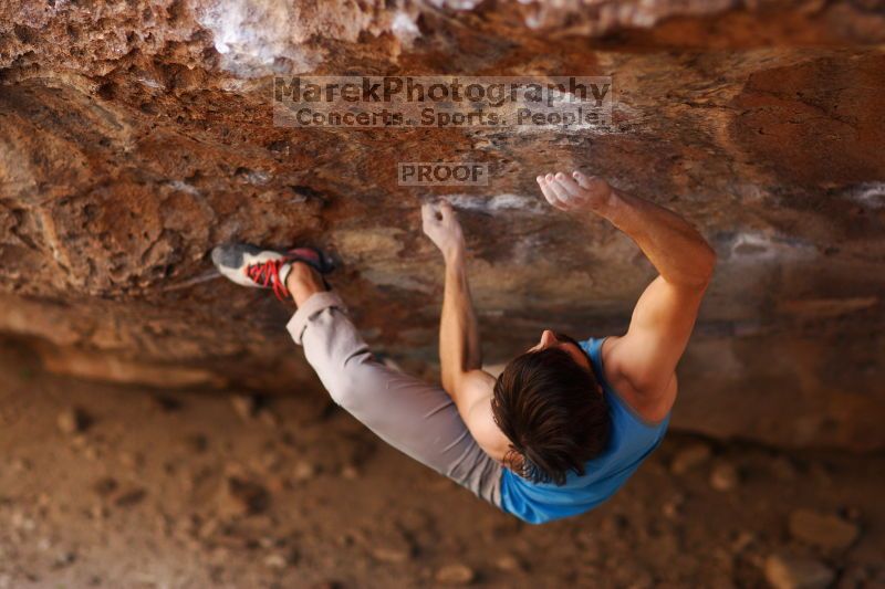 

Filename: SRM_20161124_1258232.jpg
Aperture: f/1.8
Shutter Speed: 1/640
Body: Canon EOS-1D Mark II
Lens: Canon EF 85mm f/1.2 L II